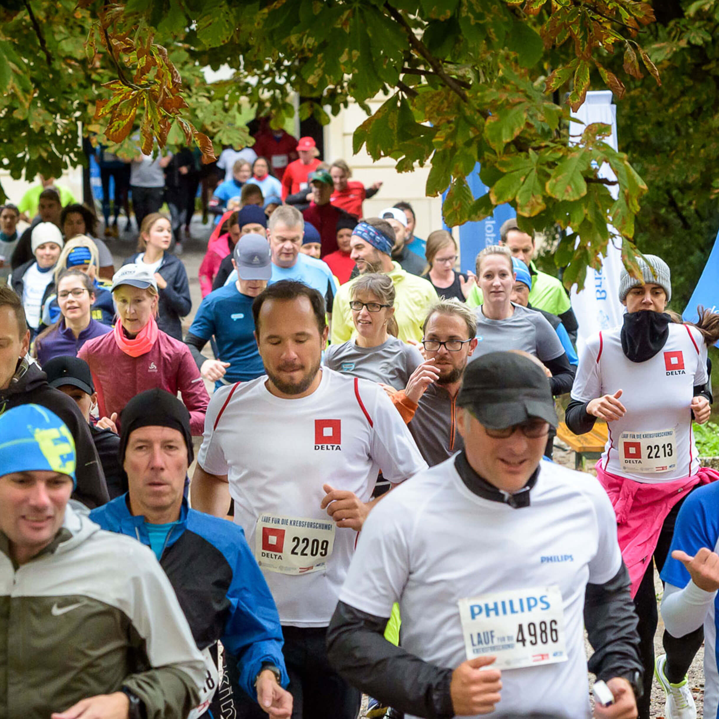 Krebsforschungslauf Wien